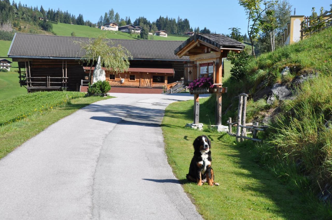 DAS ZwisleggGut Wagrain Esterno foto